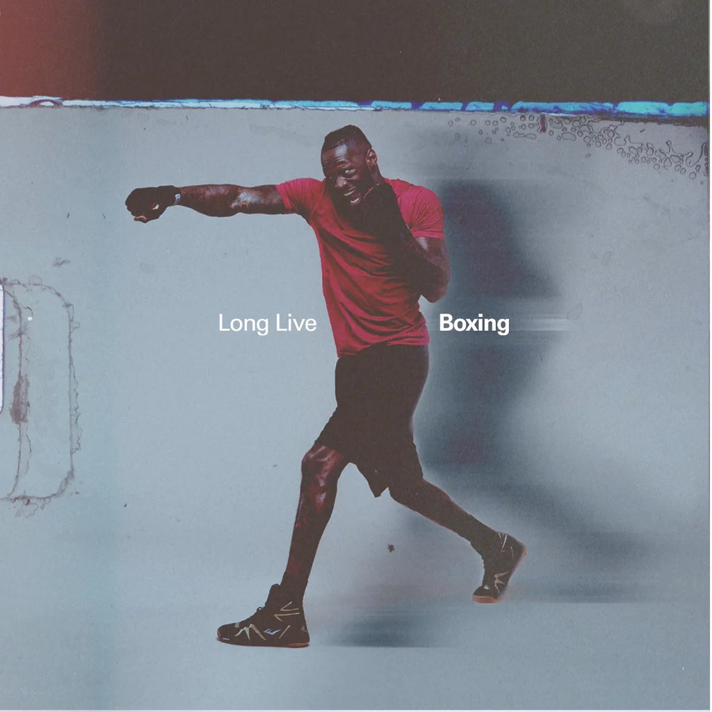 Kickboxing Gloves for Men & Women, L/XL, 5Oz – Black Heavy Bag & MMA Training